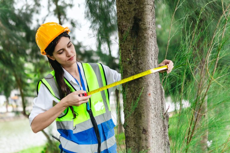 Snag Affordable Local Tree Services For Stunning Yard Transformation